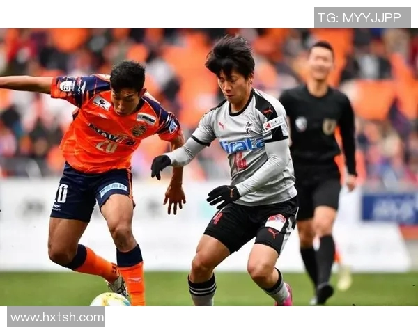 京都不死鸟与向日葵的对决探秘生命与希望的交汇点