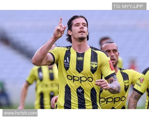 惠灵顿对阵悉尼FC比赛直播观看指南及相关信息分享