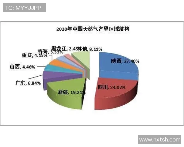 杭州飞盘队运营策略深度解析与发展前景展望