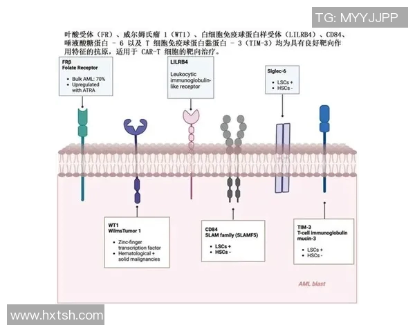 热议DOTA2：JDG战队耐力提升背后的策略与挑战分析