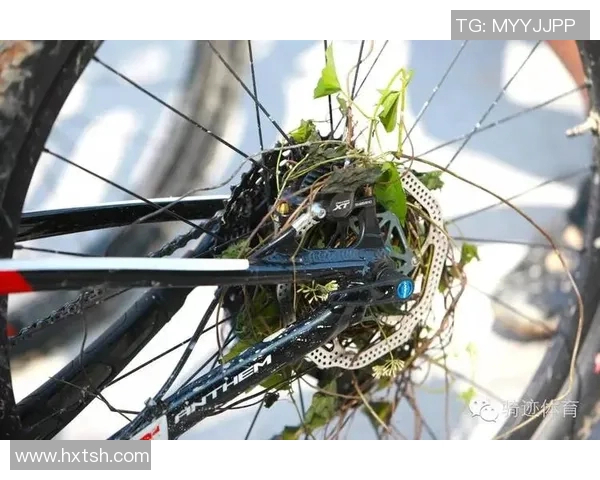 杭州极限运动队与成都极限运动队赛后配合分析与战术总结