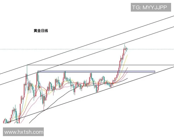 中央海岸与阿德莱斯精彩对决比分直播全程跟踪与分析